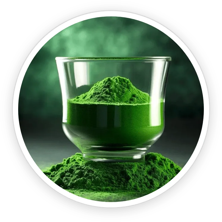 Sodium Copper Chlorophyllin